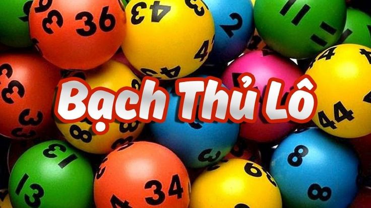 Những Câu Hỏi Thường Gặp